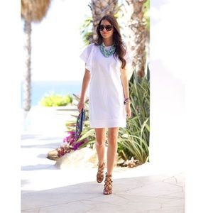 Jcrew Swiss dot flounce dress